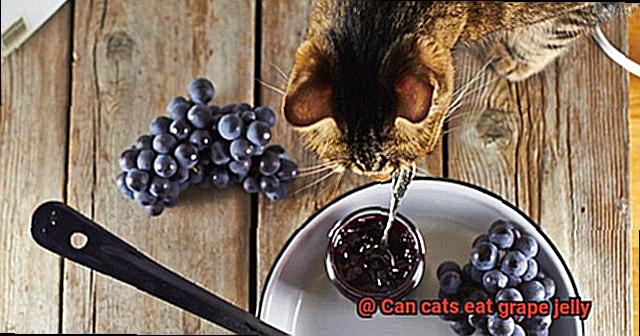 Can cats eat grape jelly-2