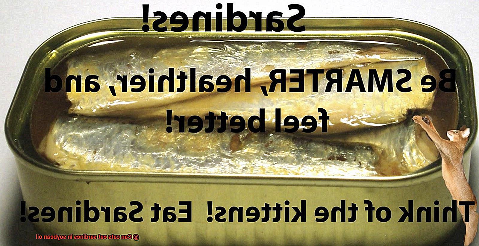 Can cats eat sardines in soybean oil-4