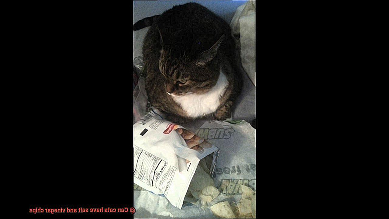 Can cats have salt and vinegar chips-5