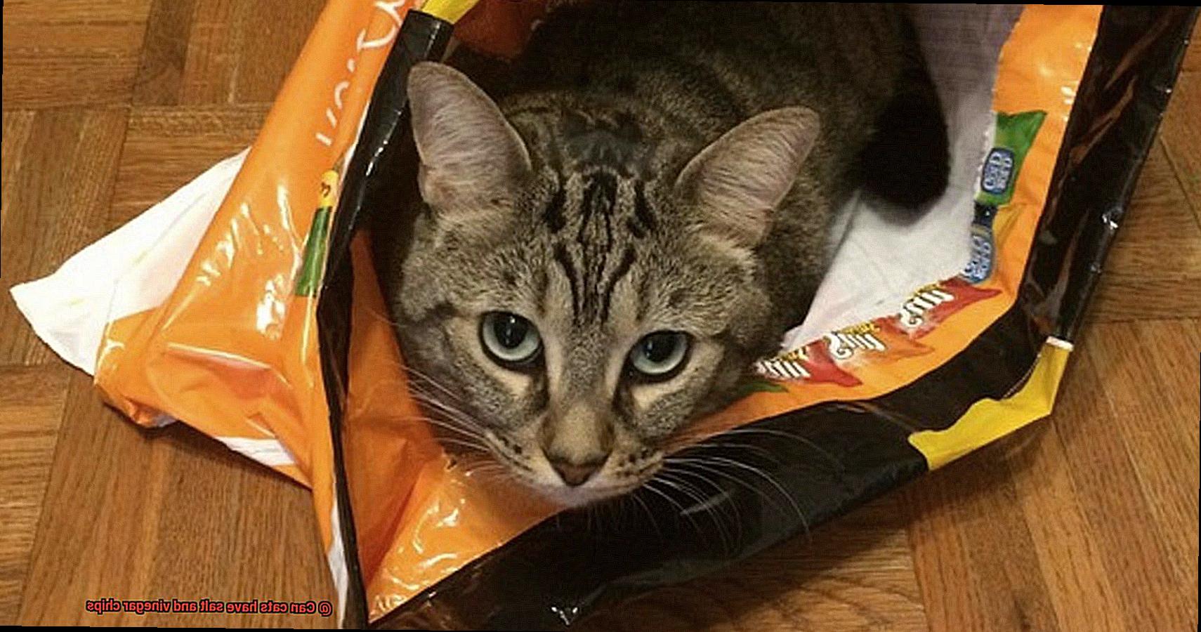 Can cats have salt and vinegar chips-3