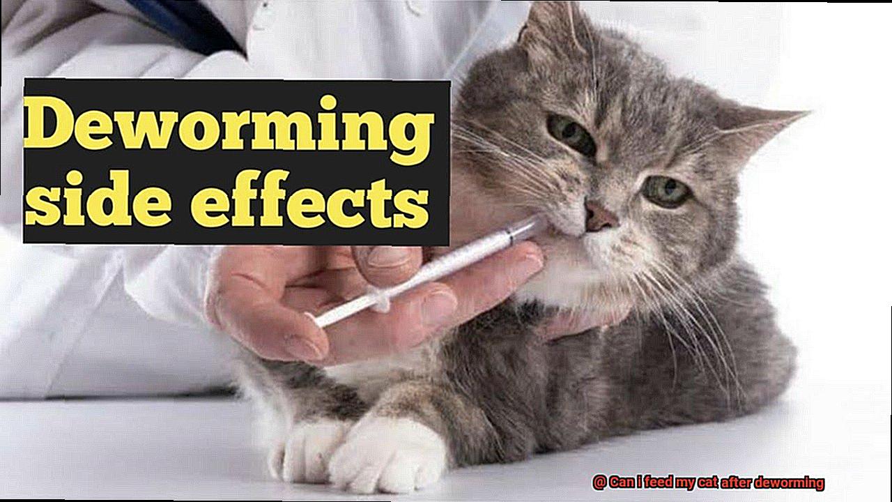 Can i feed my cat after deworming-2