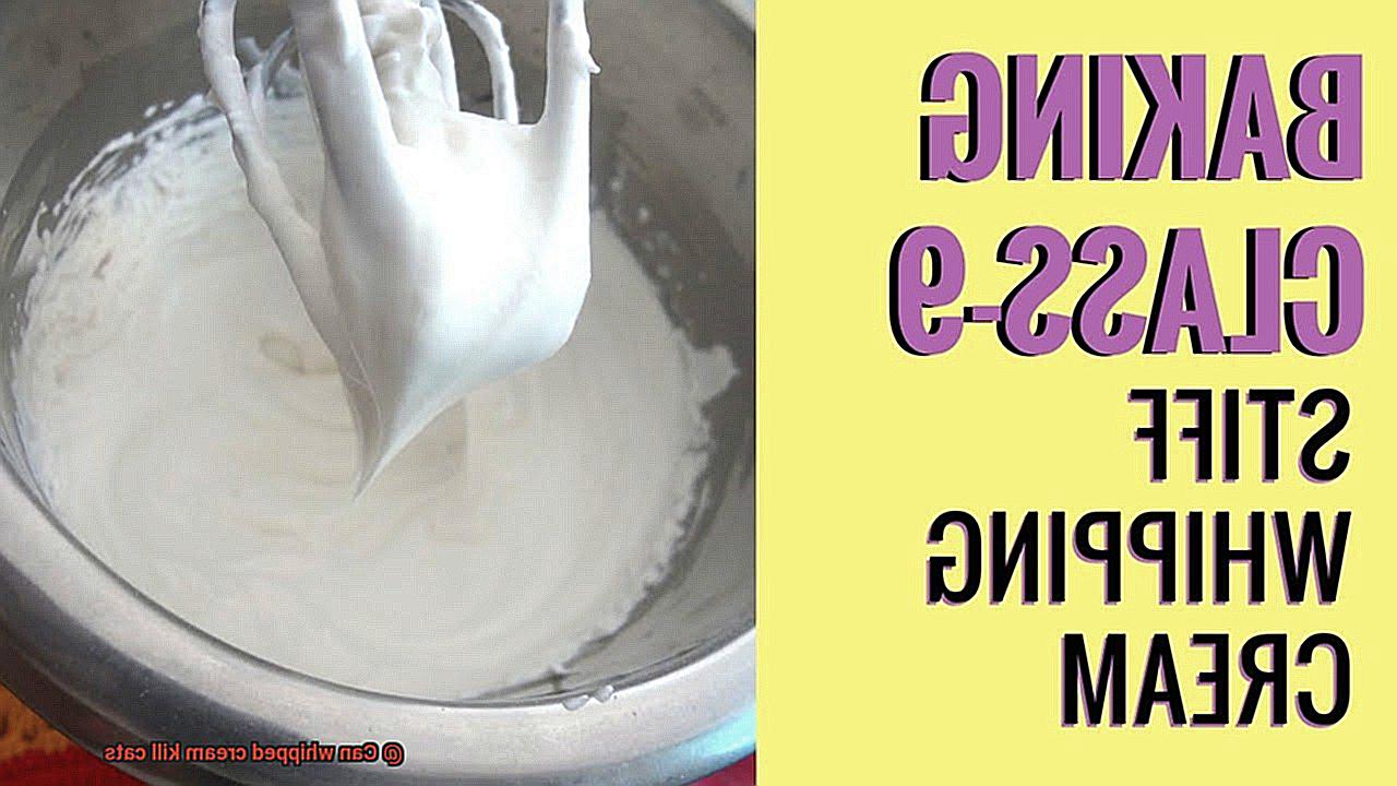 Can whipped cream kill cats-2