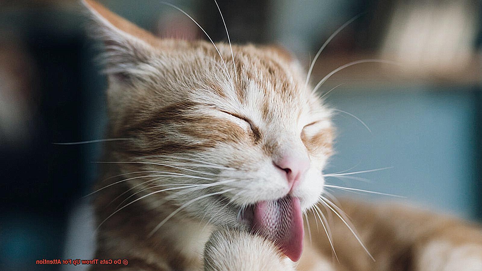 Do Cats Throw Up For Attention-4