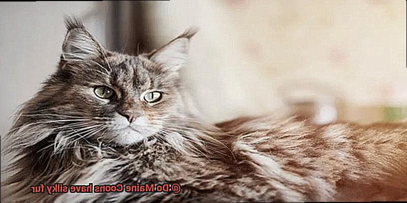 Do Maine Coons have silky fur-6