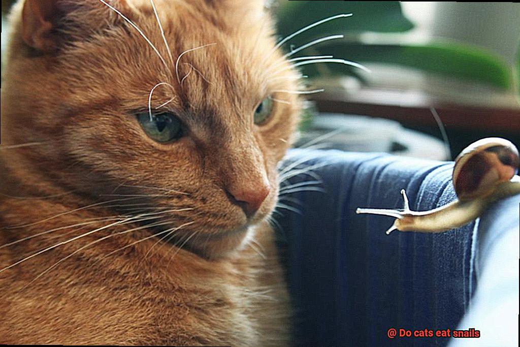 Do cats eat snails-3