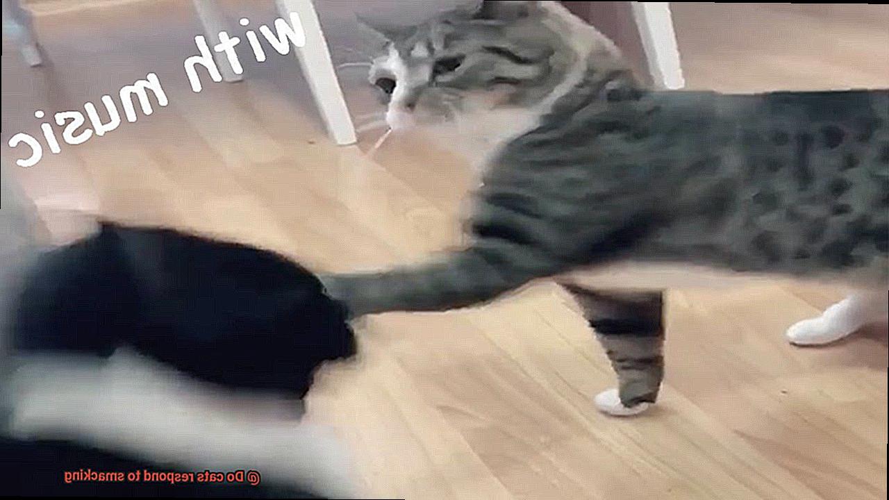 Do cats respond to smacking-4