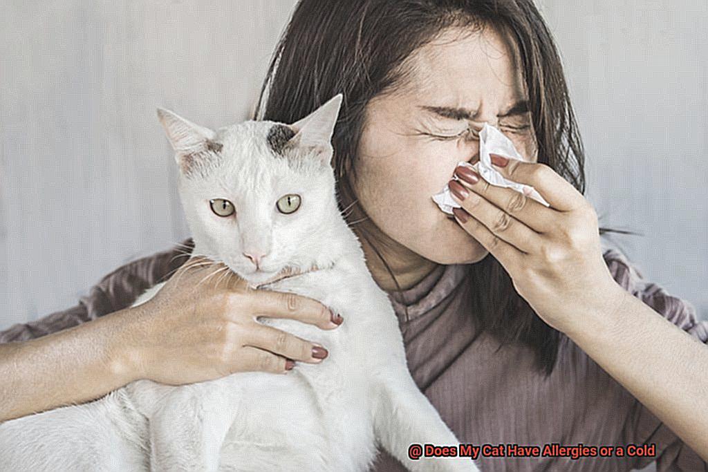 Does My Cat Have Allergies or a Cold-2