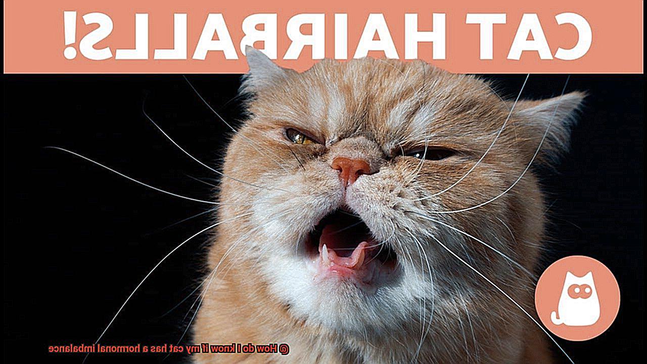 How do I know if my cat has a hormonal imbalance-2
