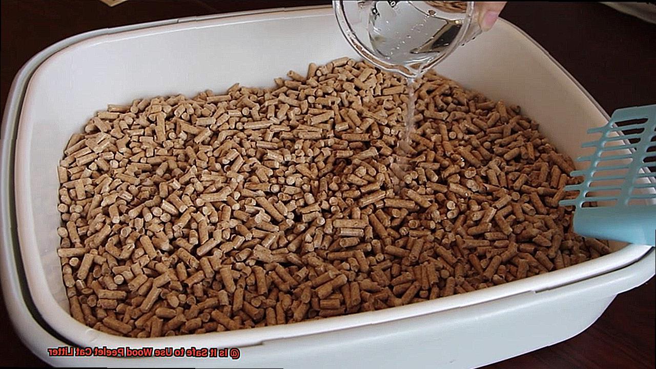 Is It Safe to Use Wood Peelet Cat Litter-4