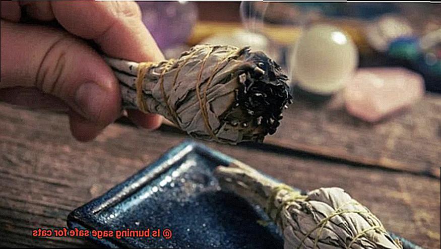 Is burning sage safe for cats-2