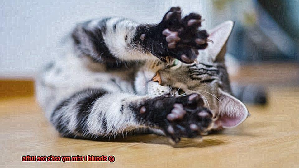 Should I trim my cat's toe tufts-4