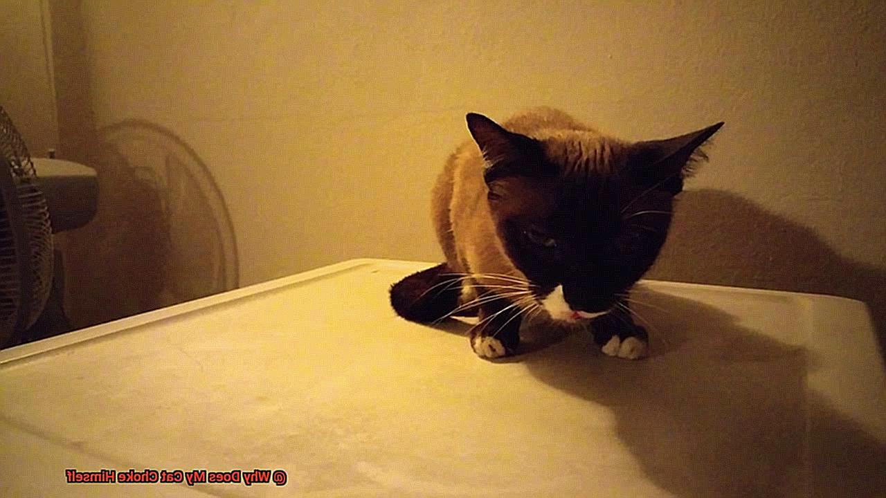 Why Does My Cat Choke Himself-2