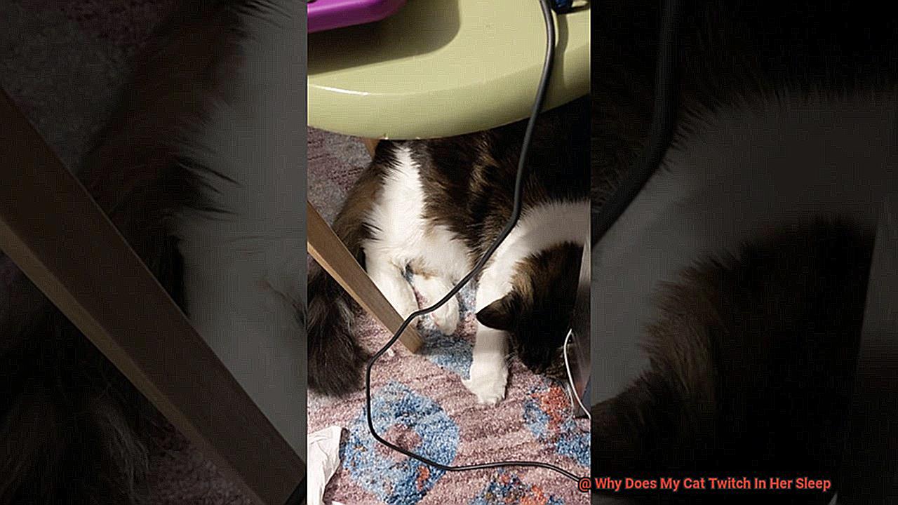 Why Does My Cat Twitch In Her Sleep-5