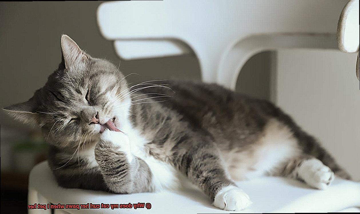 Why does my cat curl her paws when I pet her?