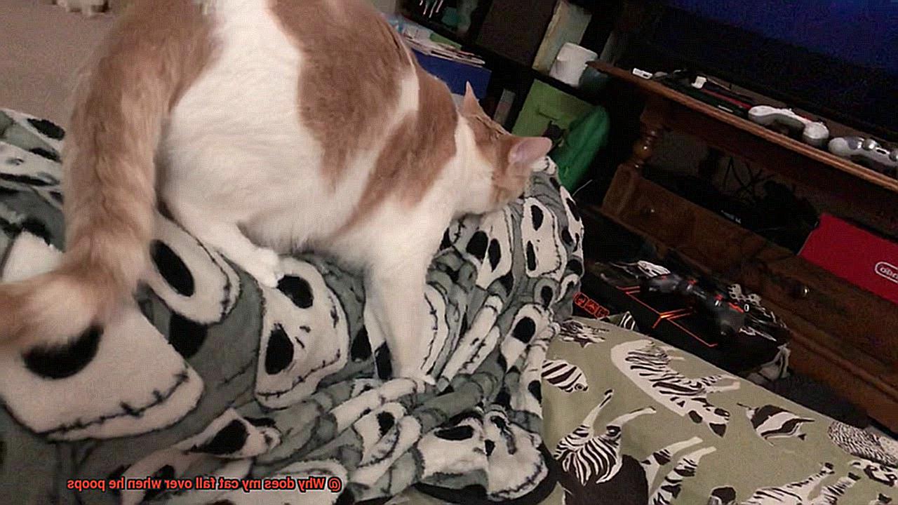 Why does my cat fall over when he poops-2