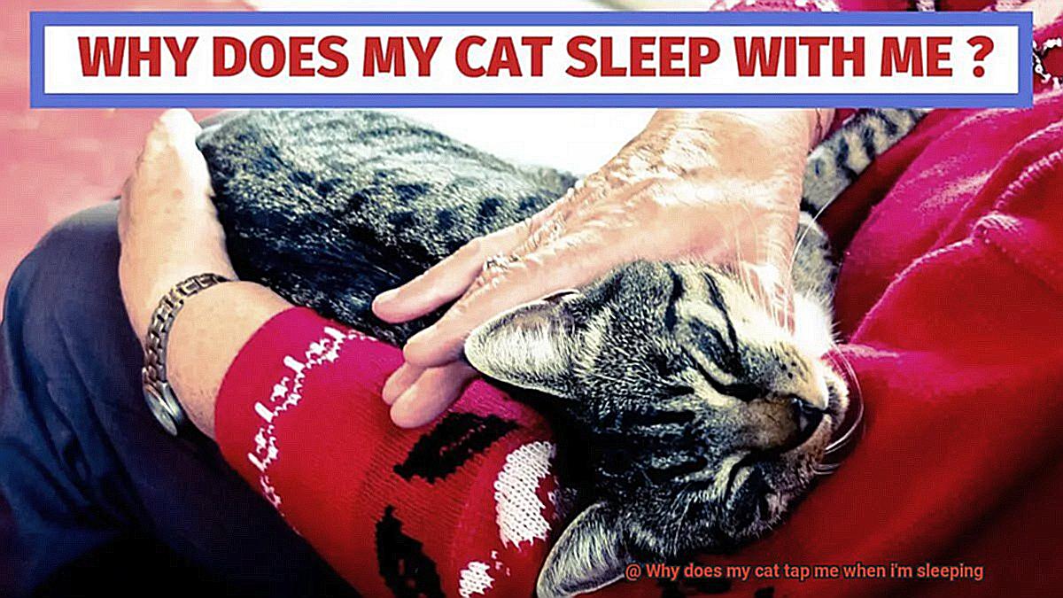 Why does my cat tap me when i'm sleeping-2