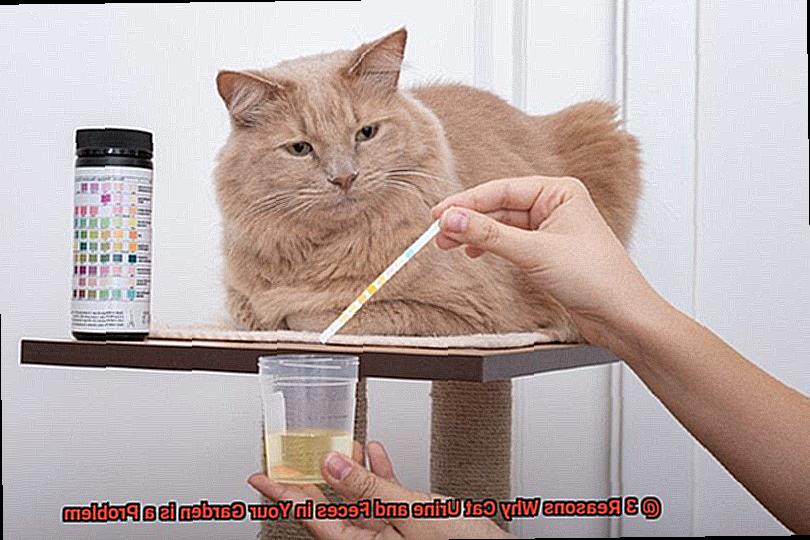 3 Reasons Why Cat Urine and Feces in Your Garden is a Problem?