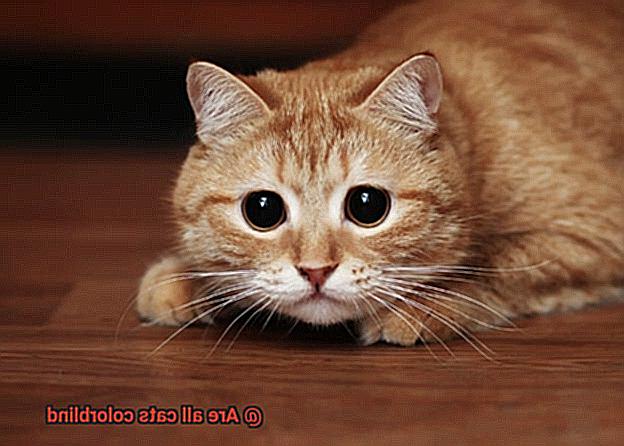 Are all cats colorblind-6
