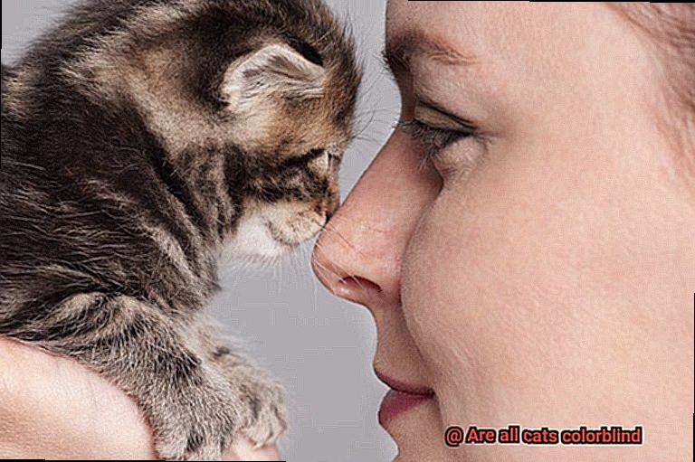 Are all cats colorblind-7