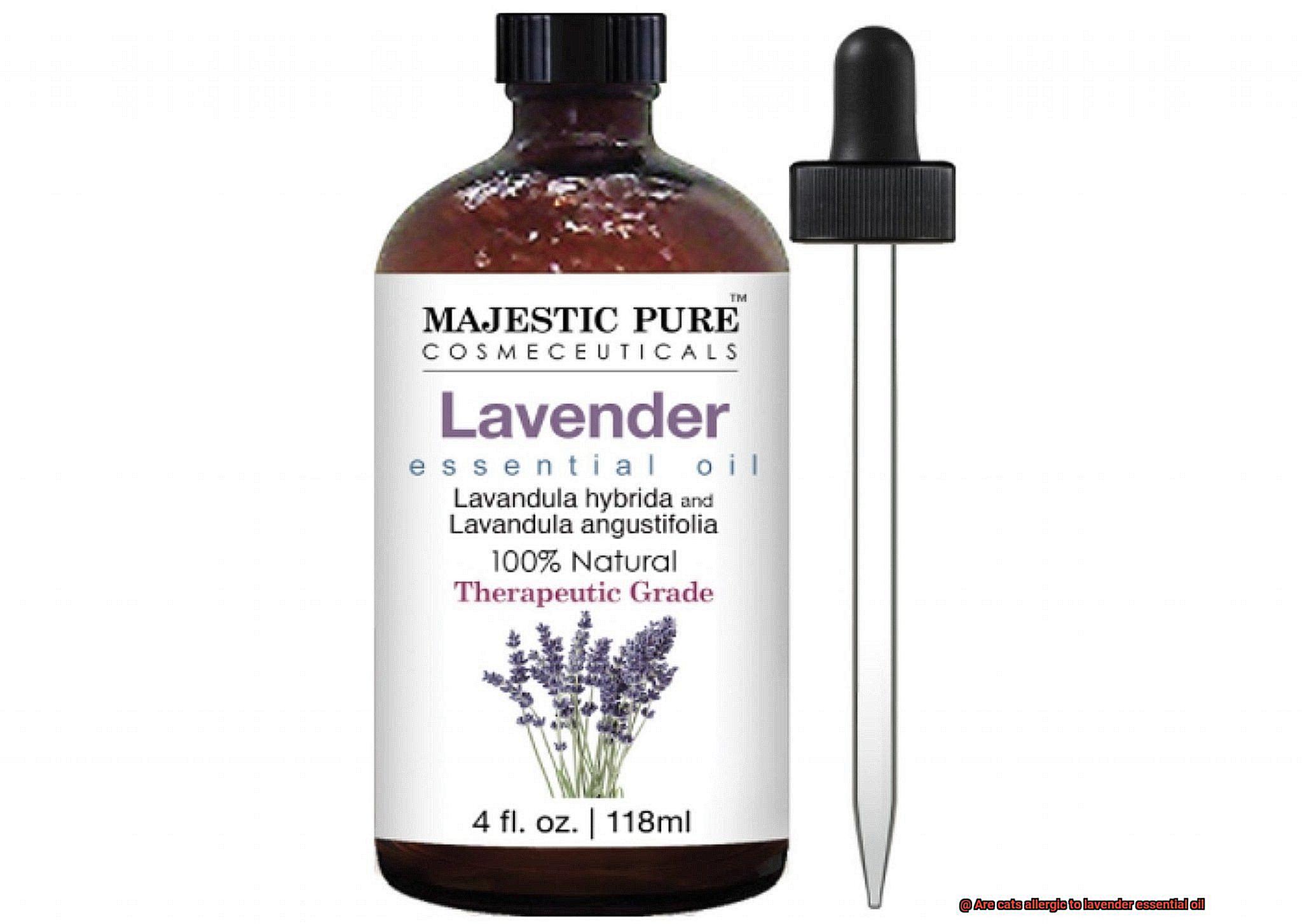 Are cats allergic to lavender essential oil-3