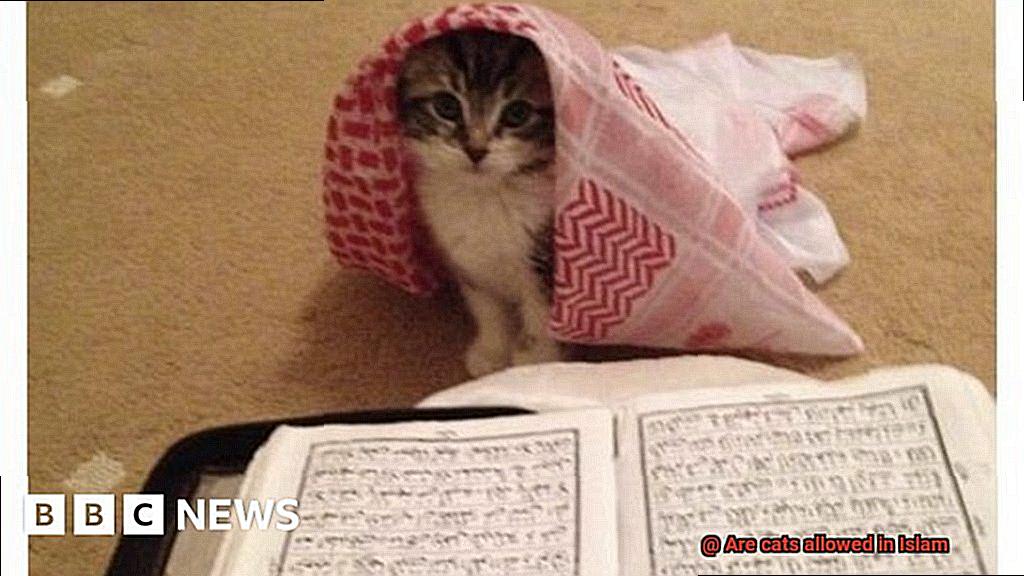 Are cats allowed in Islam-2