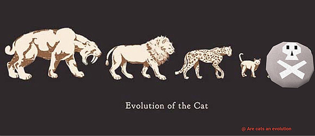 Are cats an evolution-5