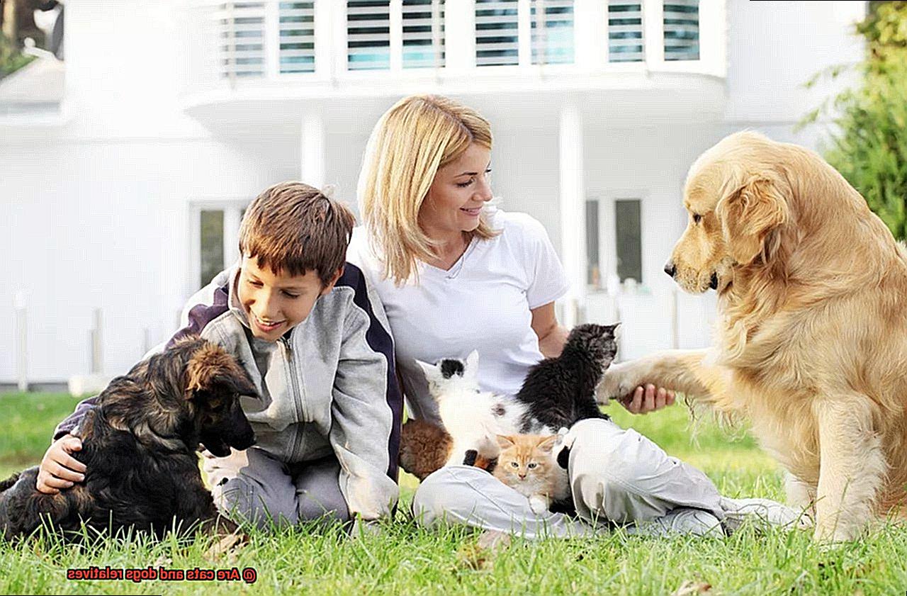 Are cats and dogs relatives-2