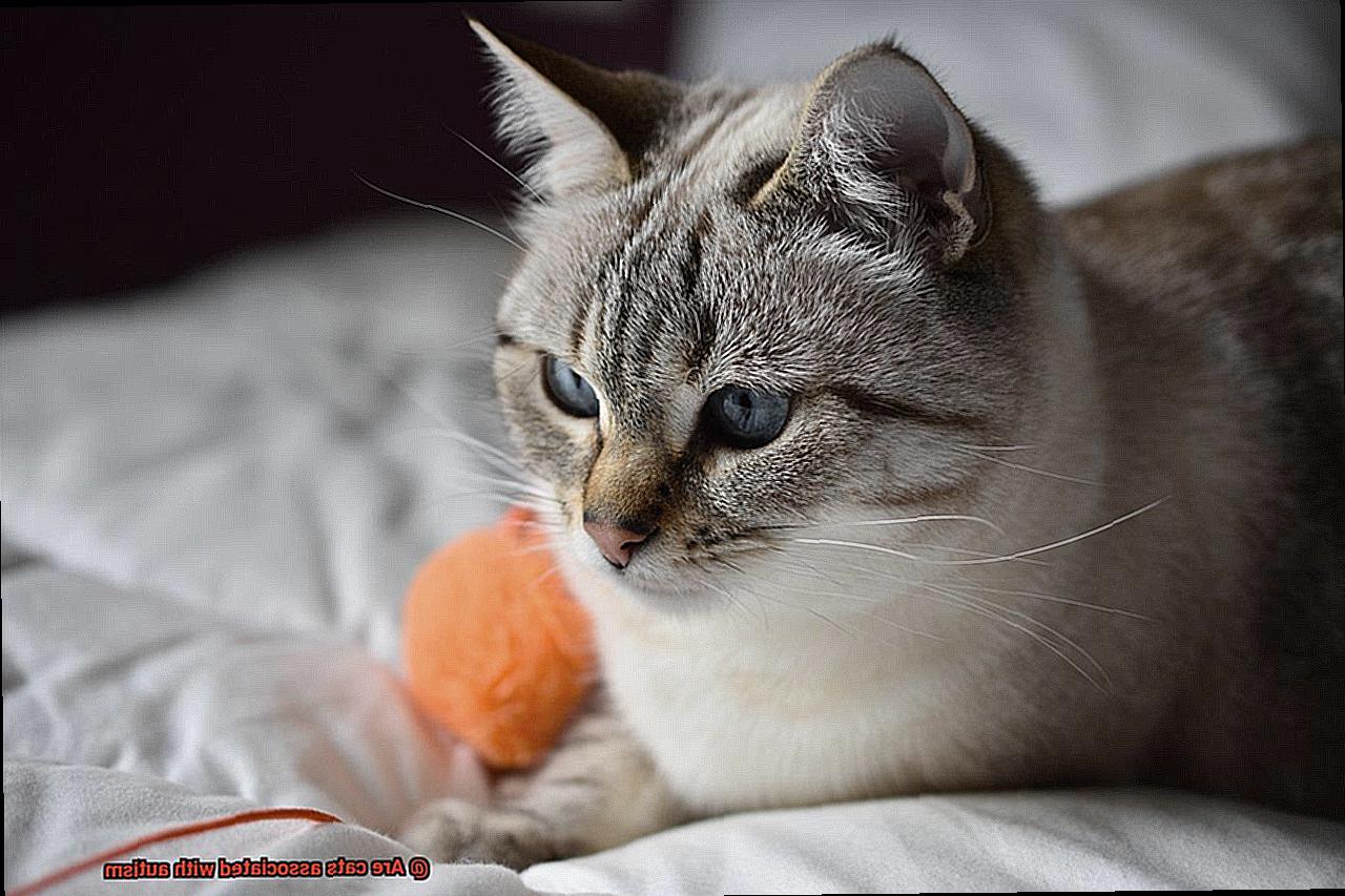 Are cats associated with autism-2