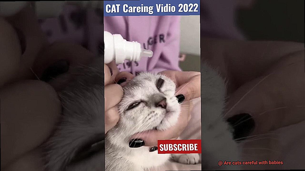 Are cats careful with babies-10