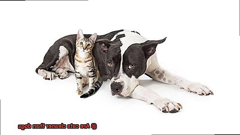 Are cats cleaner than dogs-4