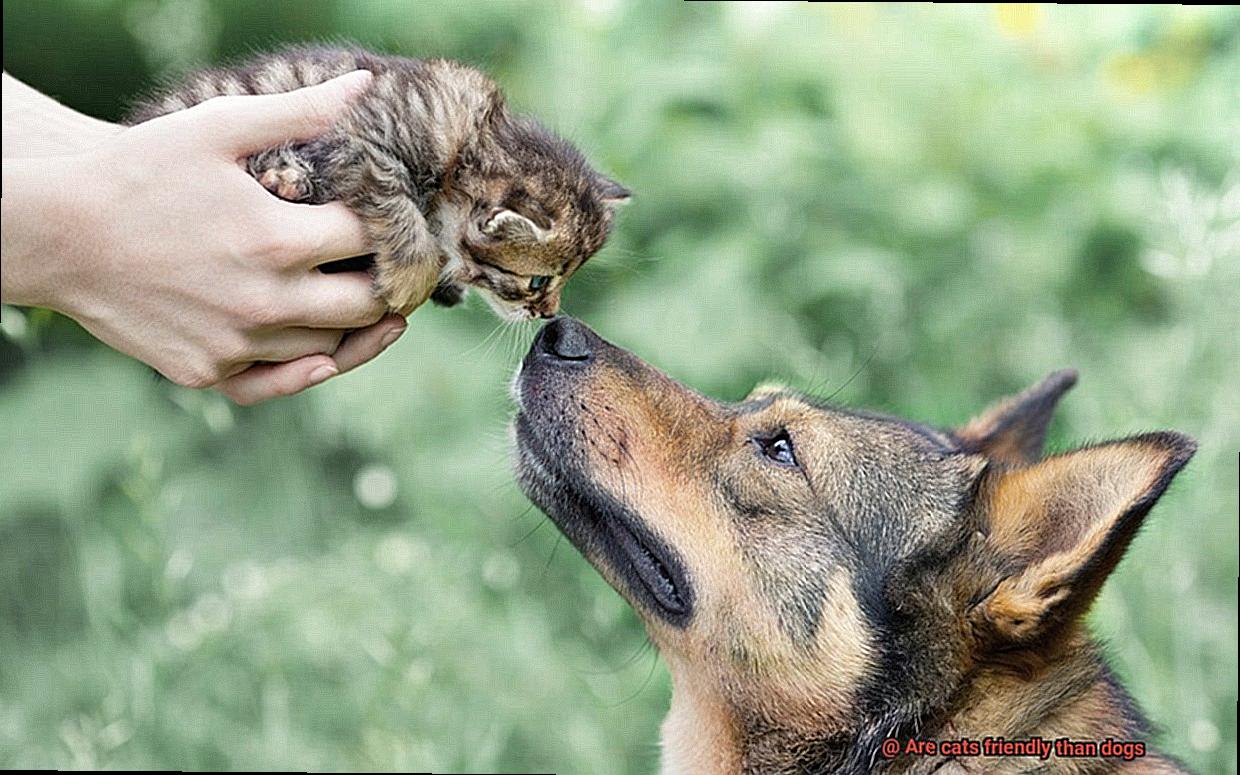 Are cats friendly than dogs-5