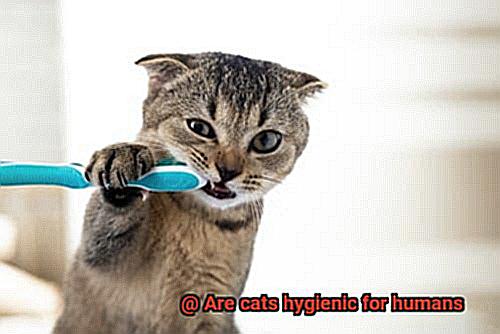 Are cats hygienic for humans-5
