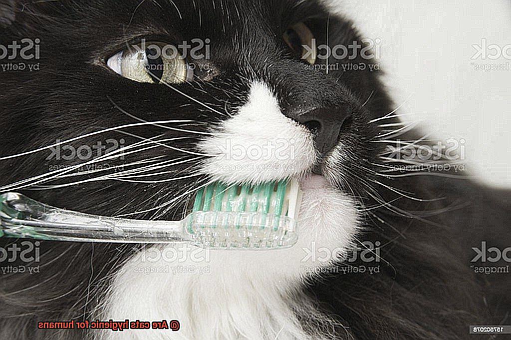 Are cats hygienic for humans-6