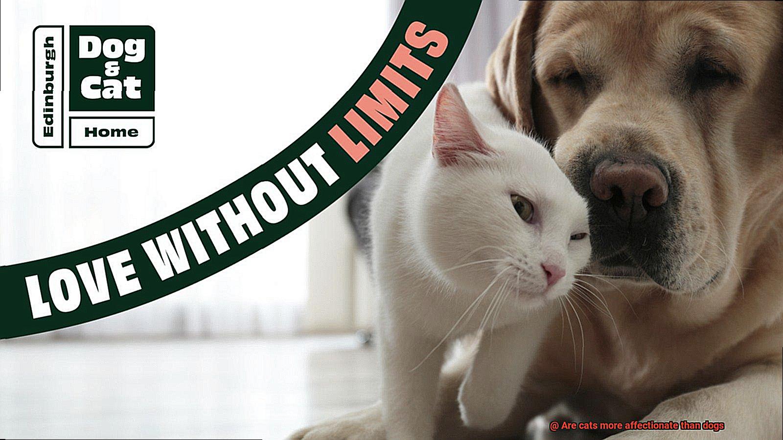 Are cats more affectionate than dogs-2