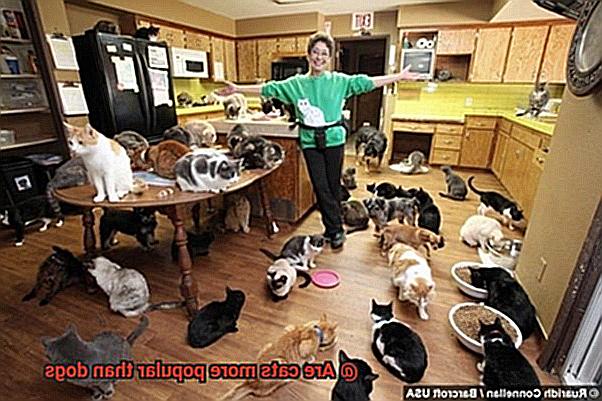 Are cats more popular than dogs-7