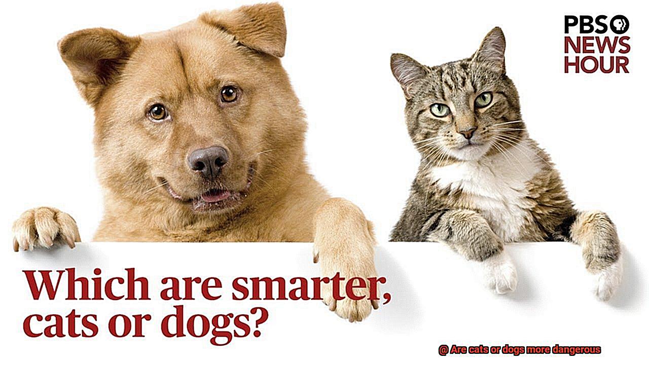 Are cats or dogs more dangerous-2
