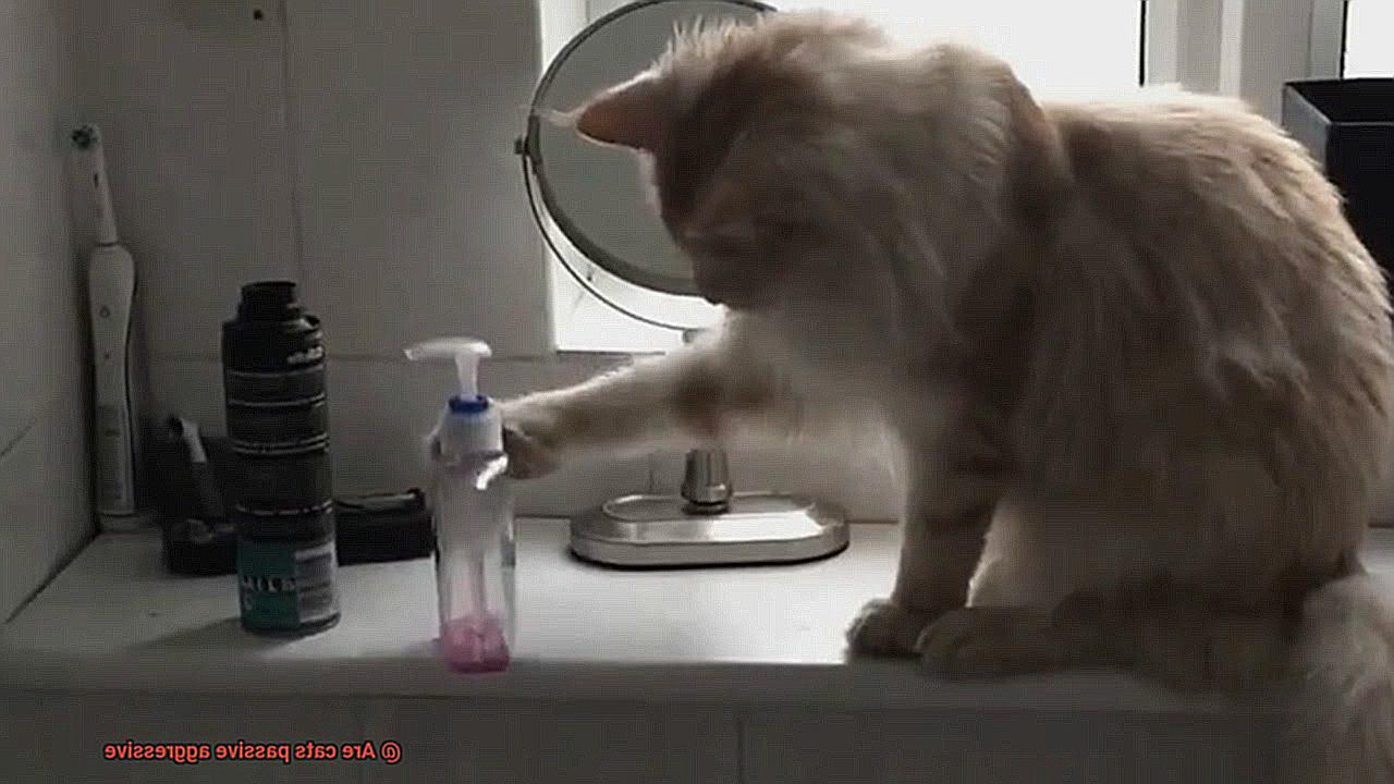 Are cats passive aggressive-4