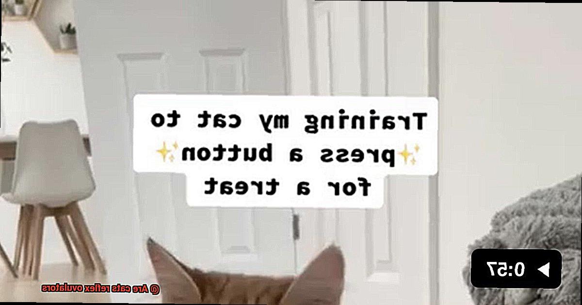 Are cats reflex ovulators-2