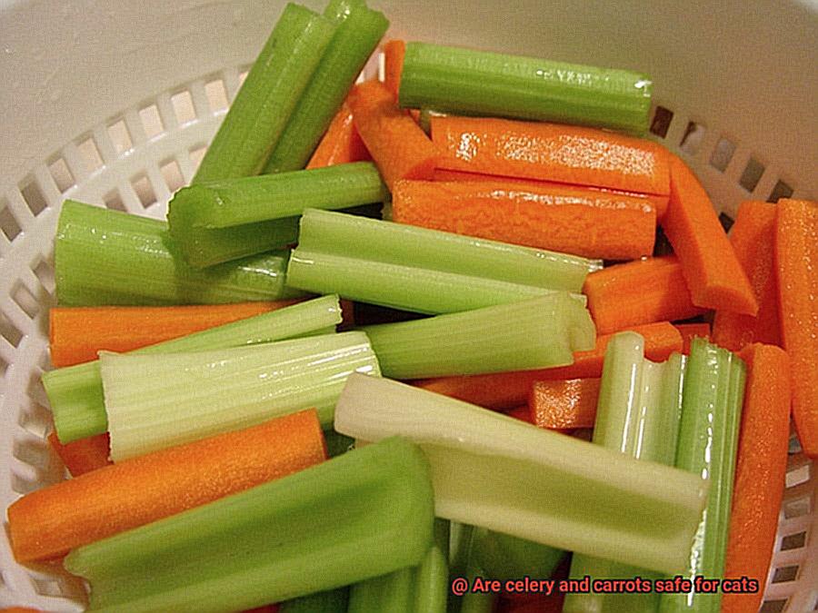 Are celery and carrots safe for cats-6