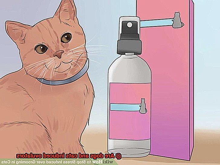 Are dogs and cats induced ovulators-6