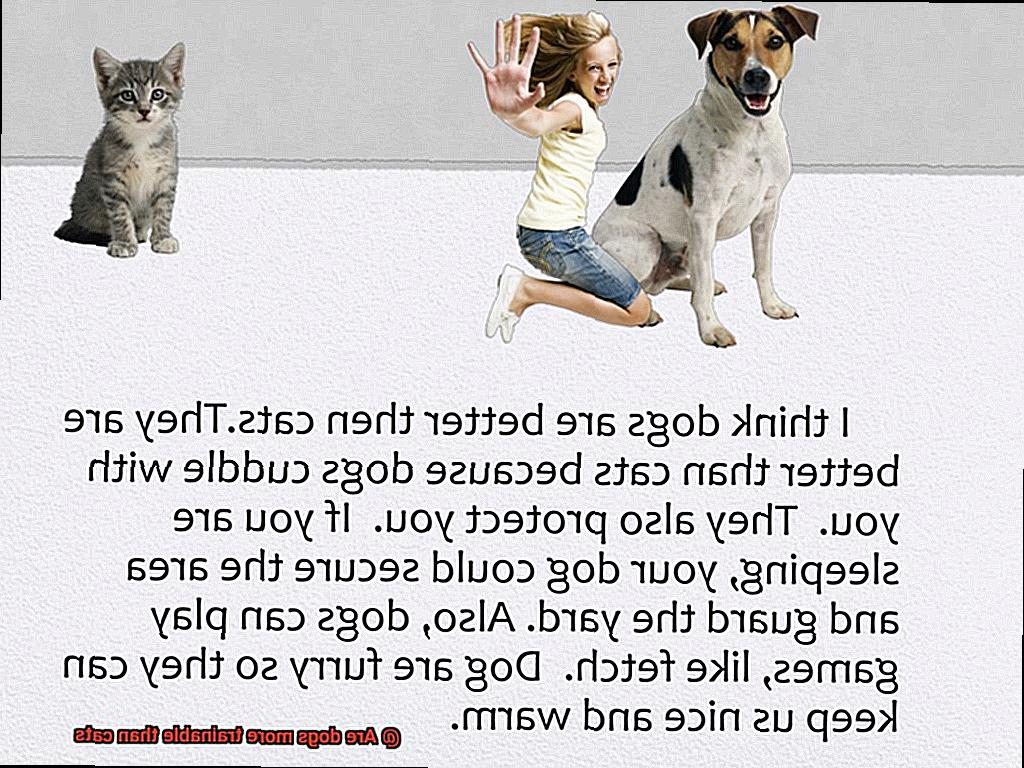 Are dogs more trainable than cats-4