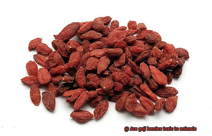 Are goji berries toxic to animals-2