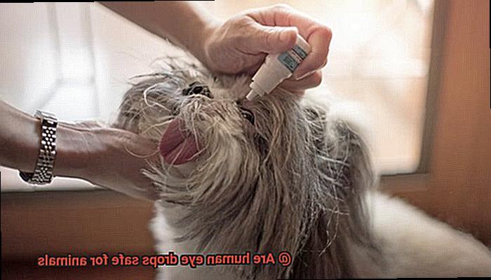 Are human eye drops safe for animals-3