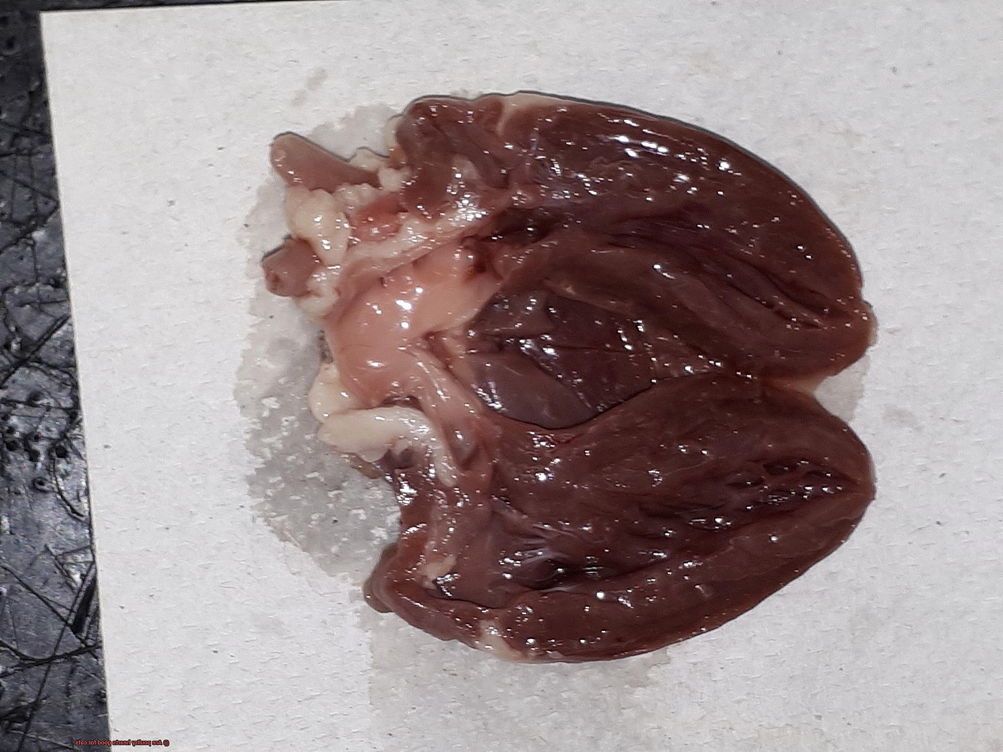 Are poultry hearts good for cats-2