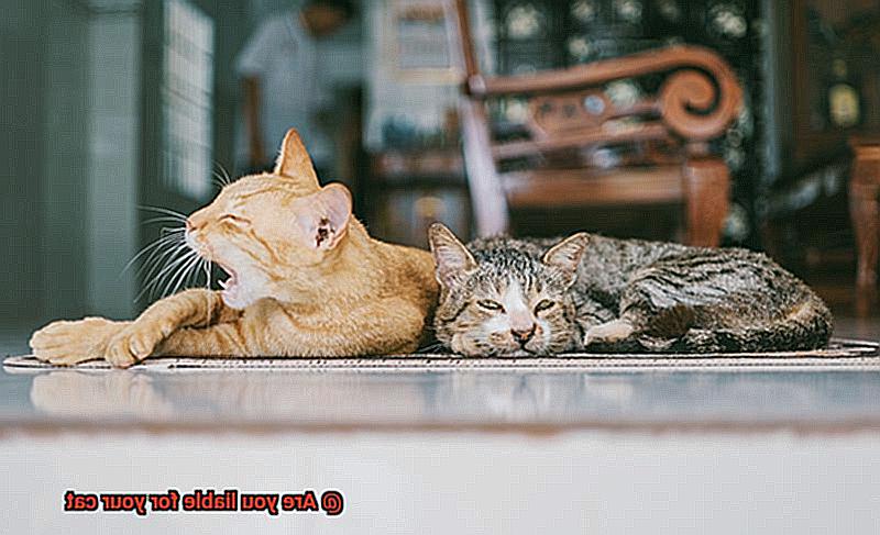 Are you liable for your cat-2