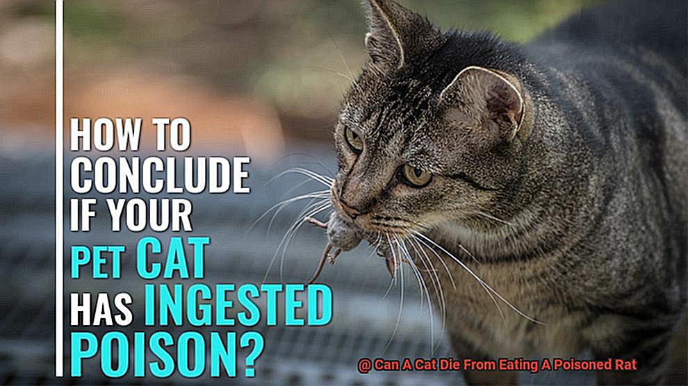 Can A Cat Die From Eating A Poisoned Rat-3