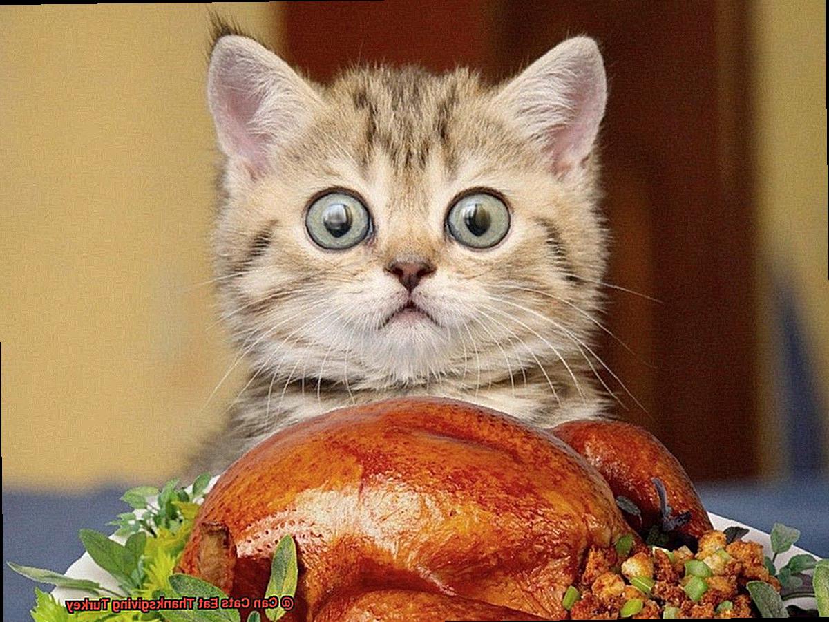 Can Cats Eat Thanksgiving Turkey-3