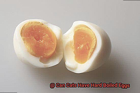 Can Cats Have Hard Boiled Eggs-5