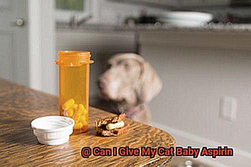 Can I Give My Cat Baby Aspirin-2