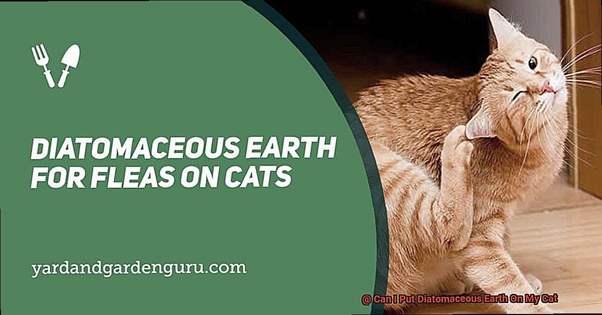 Can I Put Diatomaceous Earth On My Cat-6